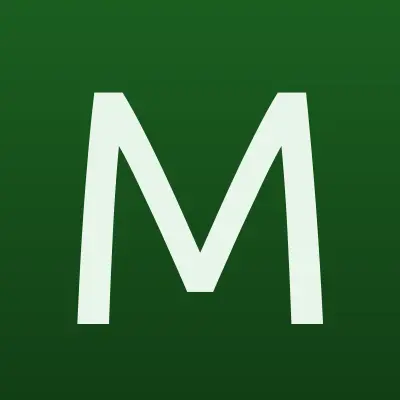 Мир шаров, магазин, лого-визитка