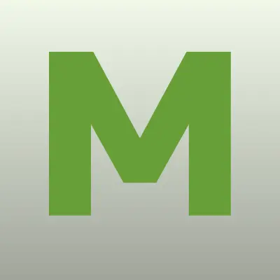 Мистер Финанс