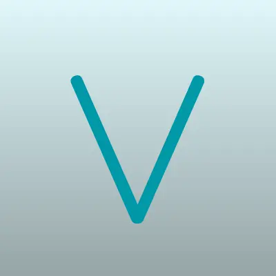 Век-Стройка